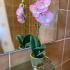 Apartman sa pogledom na more i planinu, private accommodation in city Bijela, Montenegro - WhatsApp Image 2024-06-21 at 16.25.00_2c44431d